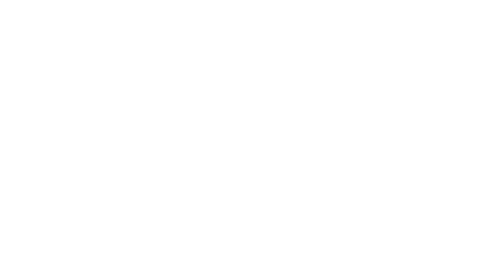 Phoenix Phase Converters