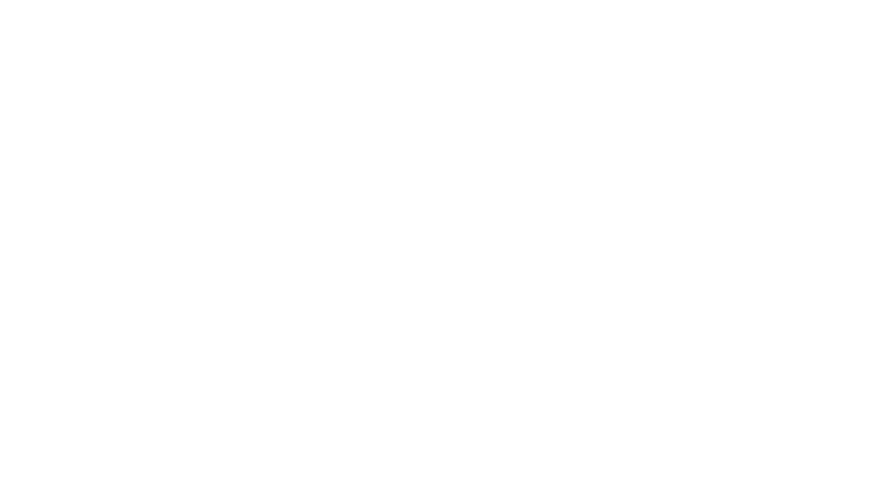 portfolio+