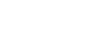 Google Partner