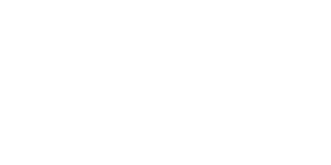 Shopify Partner