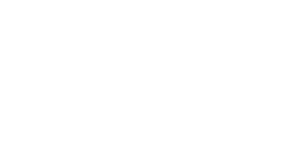 Shapiro Case Study Logo