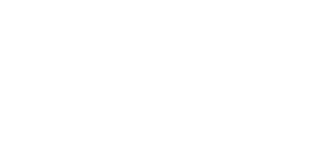 Shapiro Case Study Logo Shapiro Case Study Logo