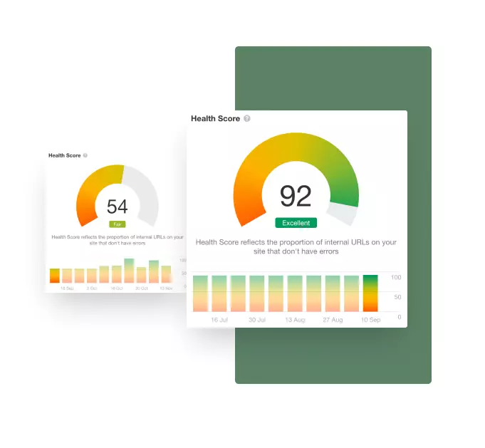 Dry Force SEO Results