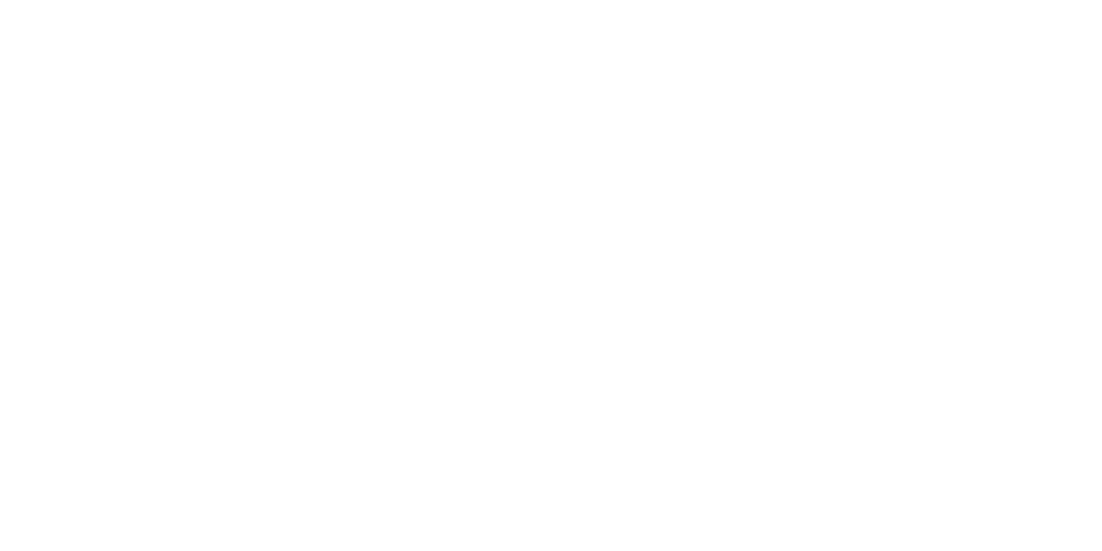 Naqvi Law Logo