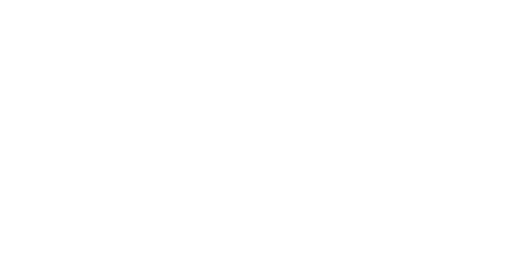 Ned Stevens Banner Logo