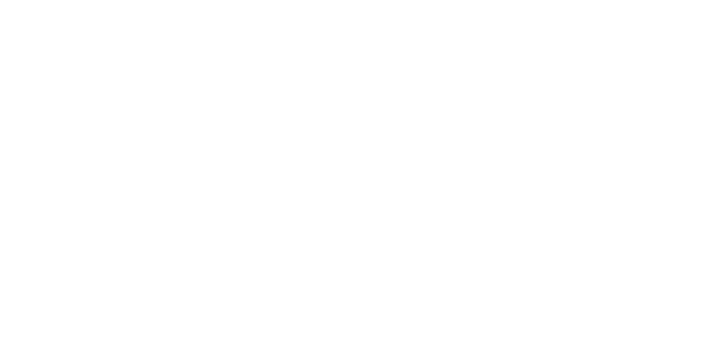 Ned Stevens Banner Logo Ned Stevens Banner Logo