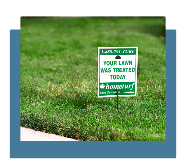 Hometurf Goal Hometurf Goal